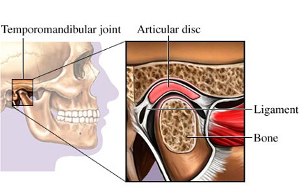 Temporomandibular Eklem